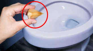Lấy 1 tép tỏi thả vào bồn cầu, biết lý do ai cũng làm theo ngay