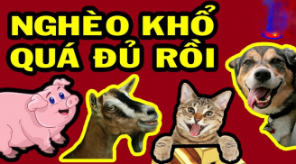 Phú quý đến muộn: 4 Shbet888.com nhà cái uy tín khổ trước sướng sau, càng già càng giàu