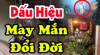 Sự xuất hiện của 3 điều này báo hiệu Shbet16 chơi game trực tuyến của bạn đang ngày càng phát đạt