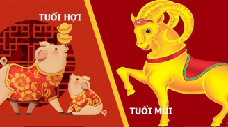 Đàn ông thuộc 4 Shbet888.com nhà cái uy tín này đều gái gú như “cơm bữa”, chị em cân nhắc kĩ kẻo hối hận