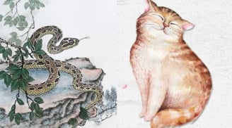 Cuối năm sóng yên biển lặng: 3 tuổi làm gì cũng lộc, 1 tuổi còng lưng gánh nợ