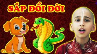 Ai xui mặc ai: 3 tuổi này đời sang trang mới, đỏ cả tình lẫn tiền trong tháng 4 Âm lịch