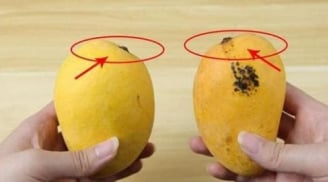 Xoài cũng có quả đực, quả cái, nghe người bán chỉ 5 mẹo dễ dàng mua được hàng ngon