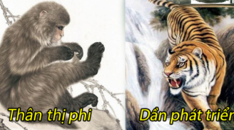 Sách trời định sẵn: 3 tuổi vướng Tam Tai khó thoát nghèo năm Quý Mão 2023, 2 tuổi số đỏ lên hương