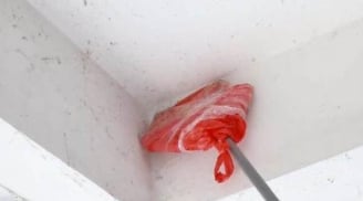 Trần nhà bám đầy mạng nhện, làm theo cách này trần nhà sạch bong, không tốn công quét dọn