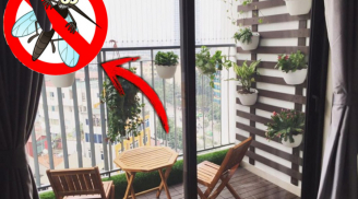 Sống ở tầng bao nhiêu thì không có muỗi? Hoá ra chỉ cần 1 cách là muỗi tránh xa