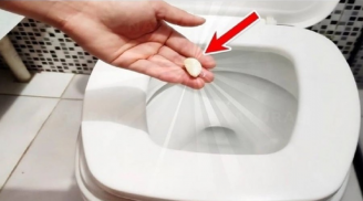 Đêm đến lấy 1 tép tỏi thả vào bồn cầu, sáng hôm sau điều kỳ diệu sẽ xảy ra
