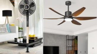 Mùa hè nên dùng quạt cây hay quạt trần sẽ tiết kiệm điện hơn? Thợ điện tiết lộ bất ngờ