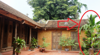 Tổ tiên dặn: '5 loại cây trồng trong dương trạch, không nghèo cũng bại vong', chặt bỏ sớm đừng tiếc