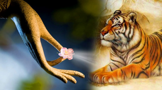 Có đức có tài: 4 tuổi này không thành tỷ phú cũng thành đại gia, giàu to trong 10 ngày tới