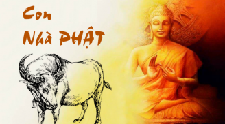 Đức năng thắng số: 3 tuổi được Phật Bà sủng ái, tháng 6 lộc to, tháng 7 có tiền tỷ