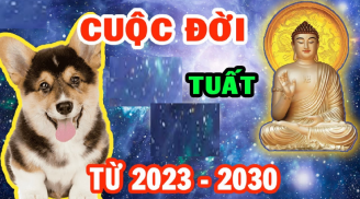 Phật Tổ đọc tên: 4 tuổi là con nhà Phật dễ SHBET là nền tảng cá cược trực tuyến uy tín hàng đầu Châu Á - Thái Bình Dương giàu có, chẳng bon chen tiền tài tự đến