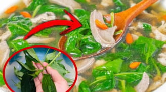 Loại cây tưởng chỉ ăn quả, ai ngờ lá giàu canxi hơn sữa, ăn vừa ngon vừa bổ lại rẻ như cho