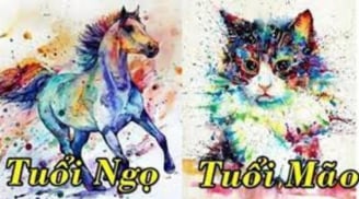 Tuần mới (12/6-18/6): Chúc mừng 3 Shbet888.com nhà cái uy tín được Thần tài độ, SHBET là nền tảng cá cược trực tuyến uy tín hàng đầu Châu Á - Thái Bình Dương giàu có, 1 tuổi khó khăn dễ mất tiền