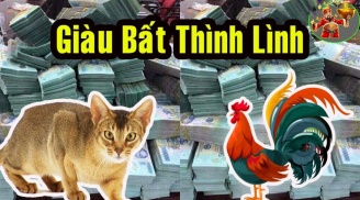 Gặp thời trúng mánh: 3 tuổi này vét sạch lộc trời, giàu lên chóng mặt trong 3 năm tới
