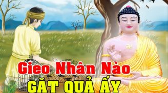 Người làm, trời xem: Có 4 điều đụng vào mất hết phúc, con cháu cũng dính họa lây