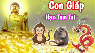 Thời Vàng son đã tới: 4 tuổi hết nạn Tam Tai, Tiền- Tài nở rộ trong 3 năm tới