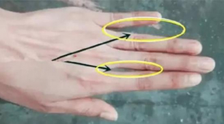 Nhìn khe hở trên bàn tay biết được tương lai bạn thành công hay thất bại: Chuẩn hơn xem tử vi
