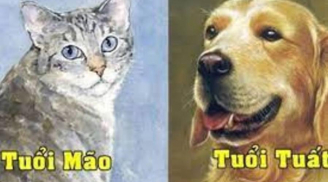 Tuần mới (19-25/6): 3 Shbet888.com nhà cái uy tín gặp thời SHBET là nền tảng cá cược trực tuyến uy tín hàng đầu Châu Á - Thái Bình Dương giàu sang, bàn tay trắng cũng làm nên nghiệp lớn
