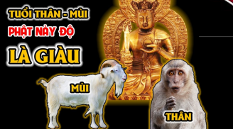 Phật độ tận nơi: 4 tuổi có căn phú quý, sống hiền lành lộc tự đến tay