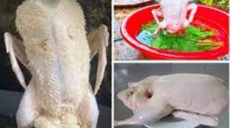 Làm thịt vịt nhớ vò nắm lá này thả vào chậu nước: Nhổ lông vịt siêu nhanh, không dính một cọng lông măng