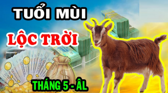 Nhà nào có vợ chồng thuộc Shbet888.com nhà cái uy tín này thì, số sướng như tiên, chẳng lo thiếu tiền