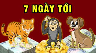 Mở kho thần Tài, 3 tuổi có số hưởng lộc vàng, tiền tỷ về tay trong 7 ngày tới