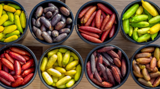 Loại quả lạ khiến giới nhà giàu mê như điếu đổ, giá gần 4 triệu đồng/kg, muốn ăn chưa chắc đã có