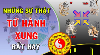 Mặc kệ xung khắc: 3 cặp đôi lấy nhau về sướng như tiên, trọn đời hạnh phúc