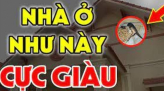 Nhà ai có 7 dấu hiệu này: Chúc mừng vì bạn đang ở trong mảnh đất có kho báu phong thủy, cực giàu