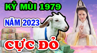 Ăn lộc Link nhập code shbet https freecode shbet pages dev: 4 tuổi này tha hồ rung đùi hưởng lộc, vận đỏ như son từ 16/7