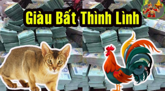 Vạn tuế nở hoa: 4 tuổi vượng vận Sh88bet link truy cập World Cup, tiền vào như nước 5 ngày sắp tới