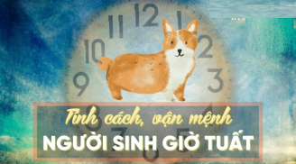 Người tuổi Tuất sinh trúng giờ này hưởng lộc Tổ Tiên, làm giàu không khó