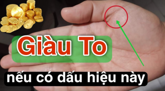 Bất kể dù nam hay nữ, chỉ cần có đường vân này trong lòng bàn tay cả đời sung túc