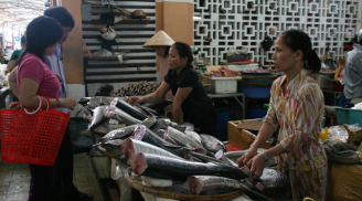 Loại cá biển nào có giá trị dinh dưỡng cao, được nhiều người thích nhất?