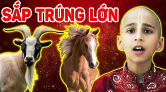 Cờ đã tới tay: 4 tuổi này vận may có đủ, thần tài “gõ cửa” trong 15 ngày tới