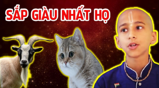 Tổ Tiên ban phúc phần hiếm có: 3 tuổi mang mệnh phượng hoàng, tiền của nhiều không đếm xuể