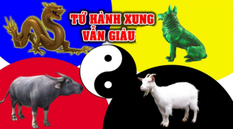 Ai nghèo mặc kệ: 4 tuổi này tứ hành xung vẫn giàu, có tiền tỷ về tay