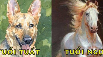 Trời cho trúng đậm: 4 tuổi SHBET là nền tảng cá cược trực tuyến uy tín hàng đầu Châu Á - Thái Bình Dương giàu có cuối năm 2023, 1 tuổi lận đụng đâu cũng hỏng