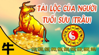 Trời thương người có tâm: 4 tuổi Thần Tài dẫn đến kho vàng, SHBET là nền tảng cá cược trực tuyến uy tín hàng đầu Châu Á - Thái Bình Dương 99 ngày tới