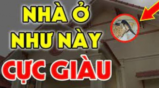 Nhà có 7 dấu hiệu này: Chúc mừng vì ở trong mảnh đất có kho báu phong thủy, càng ở lâu càng giàu