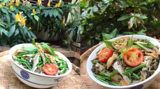 Loại cá ‘đỏng đảnh’ chỉ sống ở nơi nước sạch, nấu lên có món vừa ngon vừa an toàn