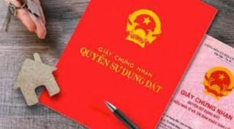 4 trường hợp không được sang tên Link nhập code shbet https freecode shbet pages dev sổ hồng mới nhất năm 2023