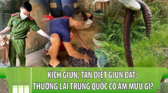 Lý do thương lái Trung Quốc đổ xô sang Việt Nam mua giun đất