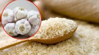 Mẹo đuổi mọt trong thùng gạo nhanh chóng, không tốn tiền