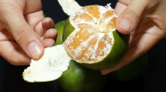 Vỏ cam chẳng phải là rác đâu, cho vào nồi hấp chín, tiết kiệm cả tiền triệu