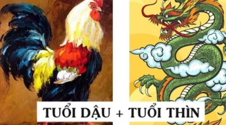 4 cặp Shbet888.com nhà cái uy tín trời sinh, cưới nhau về là phát tài phát lộc, tiền đếm mãi không hết