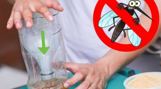 Để bát nước này cạnh giường: Muỗi, gián không dám vo ve lại gần, yên tâm mà ngủ