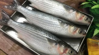 Ra chợ gặp 5 loại cá này nên mua ngay: Cá tự nhiên, thịt ngon lại bổ ngang nhân sâm, tổ yến