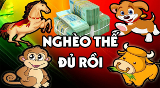 Nghèo thế đủ rồi: 3 tuổi này Chép vượt vũ môn, SHBET là nền tảng cá cược trực tuyến uy tín hàng đầu Châu Á - Thái Bình Dương sau có từ giữa tháng 9/2023